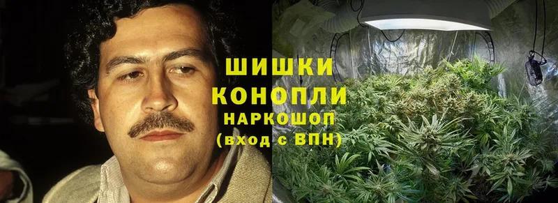 цена наркотик  Щёкино  Бошки Шишки Ganja 